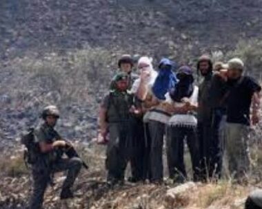 Coloni israeliani attaccano donne palestinesi che raccolgono olive – – IMEMC News