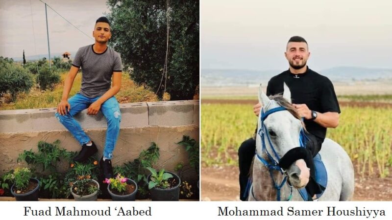 Aggiornamento: “Soldati israeliani uccidono due palestinesi, ne feriscono otto, vicino a Jenin” – – IMEMC News