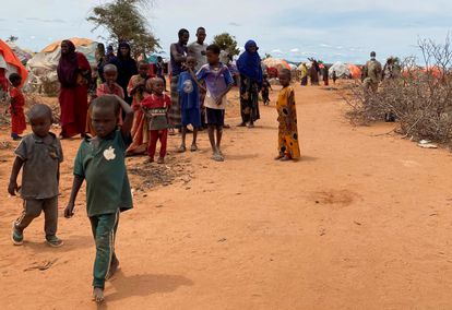 Madres que envenenan a sus hijos para sobrevivir a la hambruna de Somalia | Planeta Futuro | EL PAÍS